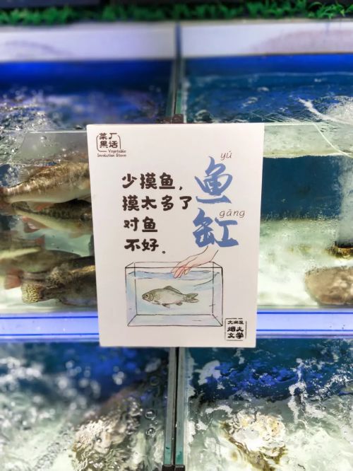 汉仪尚巍旋风体使用案例
