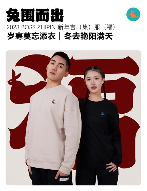 Aa龙象隶使用案例