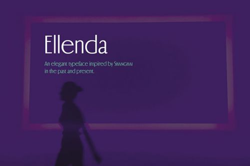 Ellenda使用案例