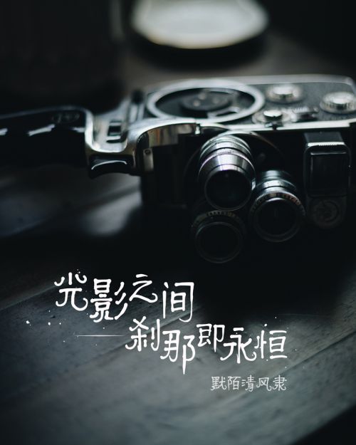 默陌清风隶使用案例
