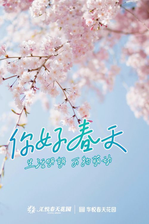 默陌卷恋手写体使用案例