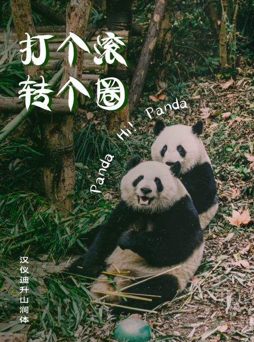 汉仪迪升山涧体使用案例