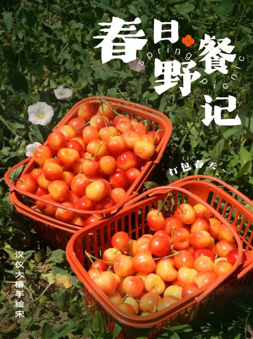 汉仪大椿手绘宋使用案例