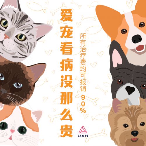 汉仪铸字葫芦娃使用案例
