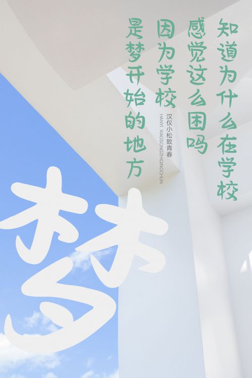 汉仪小松致青春使用案例