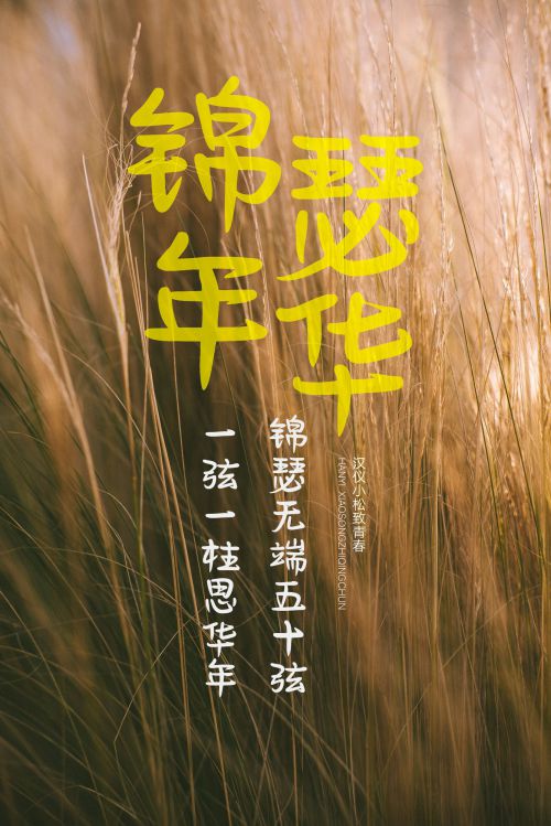 汉仪小松致青春使用案例