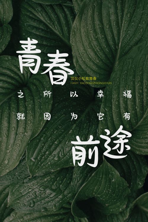 汉仪小松致青春使用案例