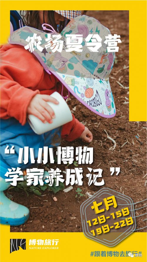 汉仪超级战甲,汉仪将军使用案例