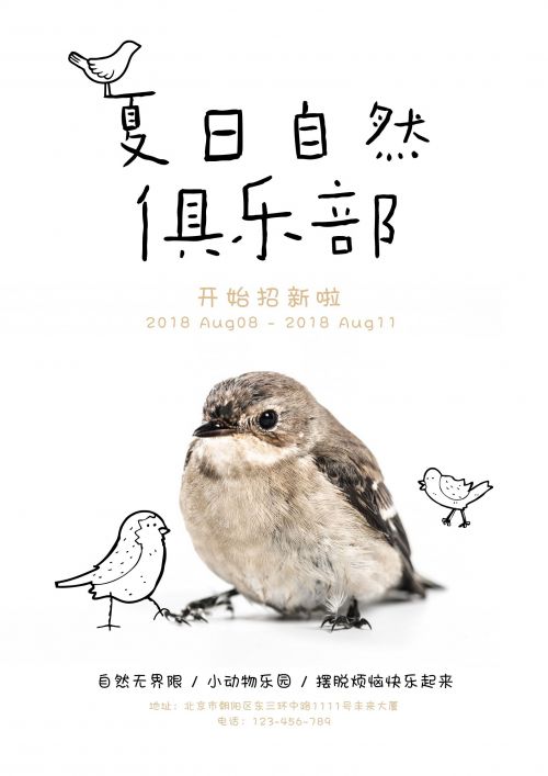 汉仪张子山体,汉仪夏日体使用案例