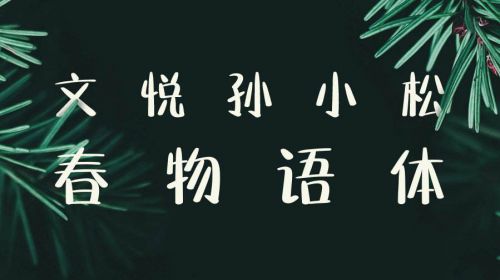 文悦孙小松春物语体使用案例