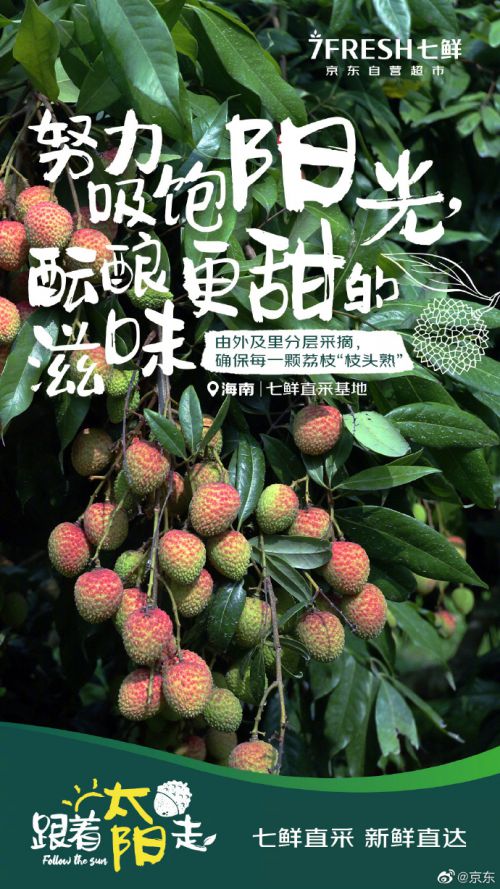 汉仪趣报使用案例