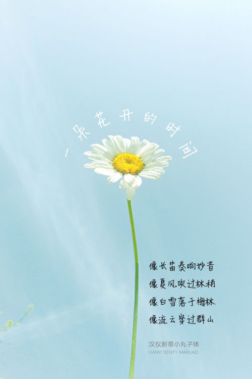 汉仪新蒂小丸子体使用案例