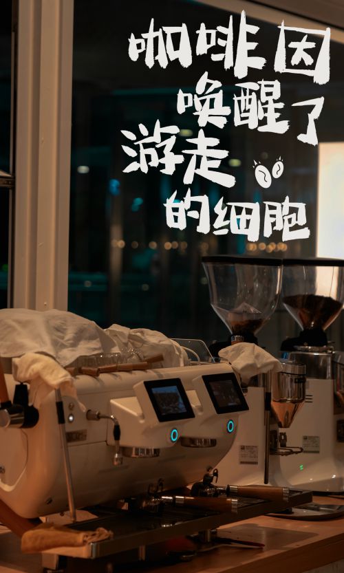 点字萧墨使用案例