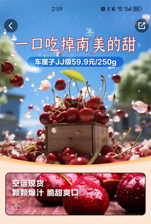 汉仪风竹体使用案例
