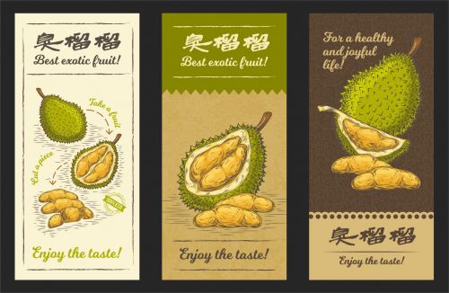 百家造字小隶体