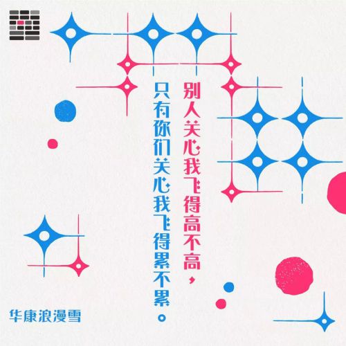 华康浪漫雪使用案例