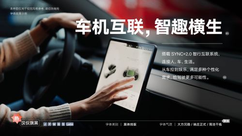 汉仪旗黑使用案例