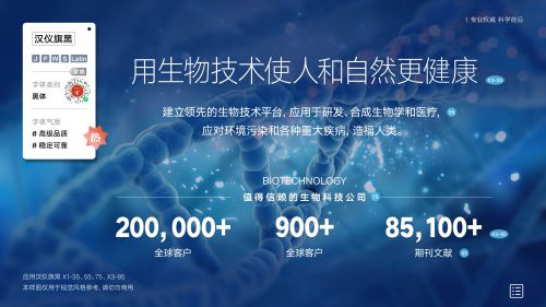 汉仪旗黑使用案例