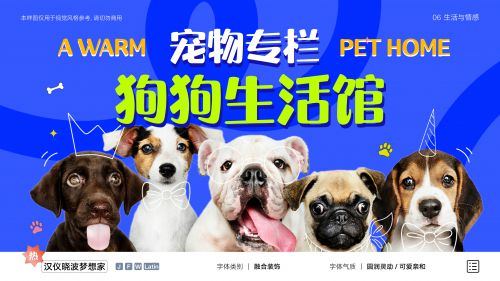 汉仪晓波梦想家使用案例
