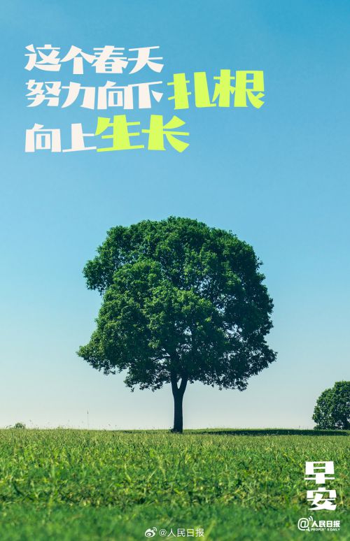 Aa芥末墩 (非商业使用)使用案例