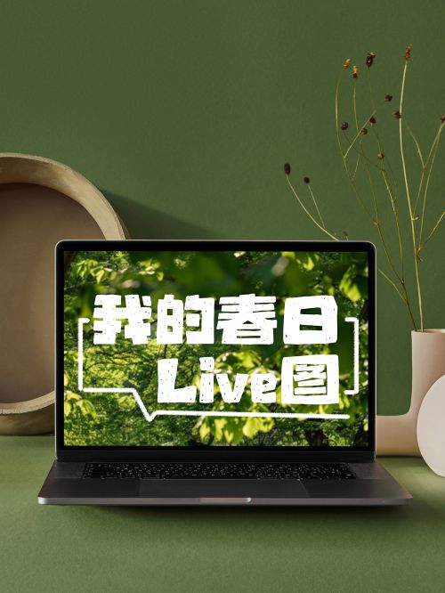 Aa疯狂原始人使用案例