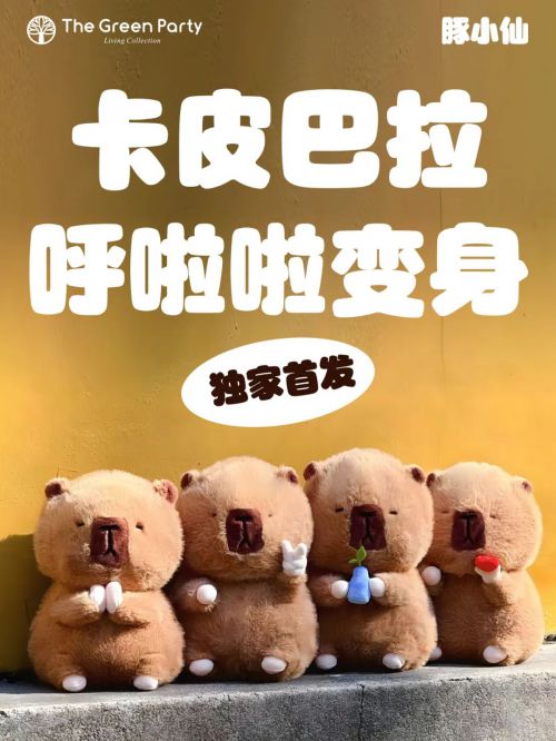 Aa水玉圆体使用案例