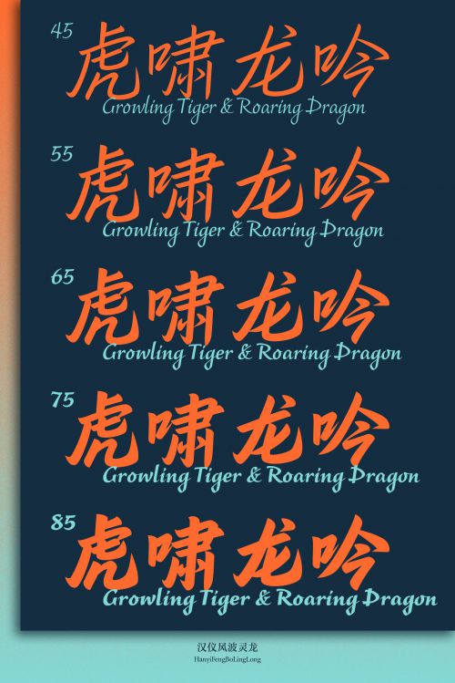 汉仪风波灵龙使用案例