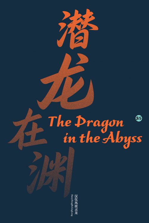 汉仪风波灵龙使用案例