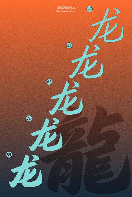 汉仪风波灵龙使用案例