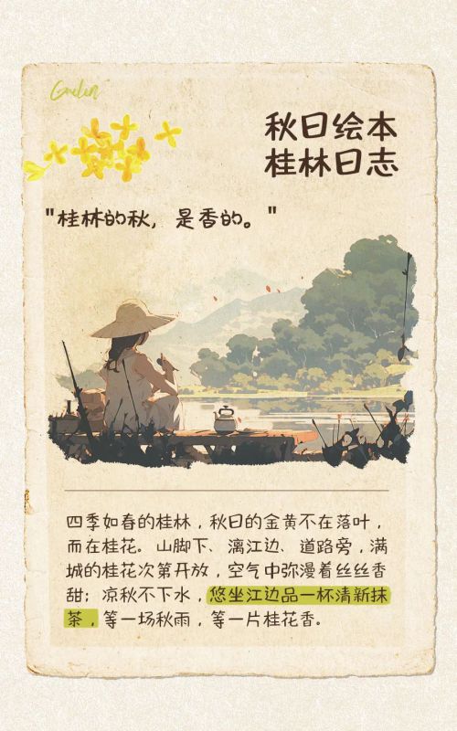 点字夏乐体使用案例