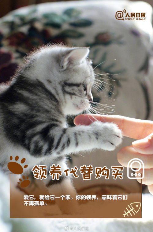 华康娃娃体使用案例