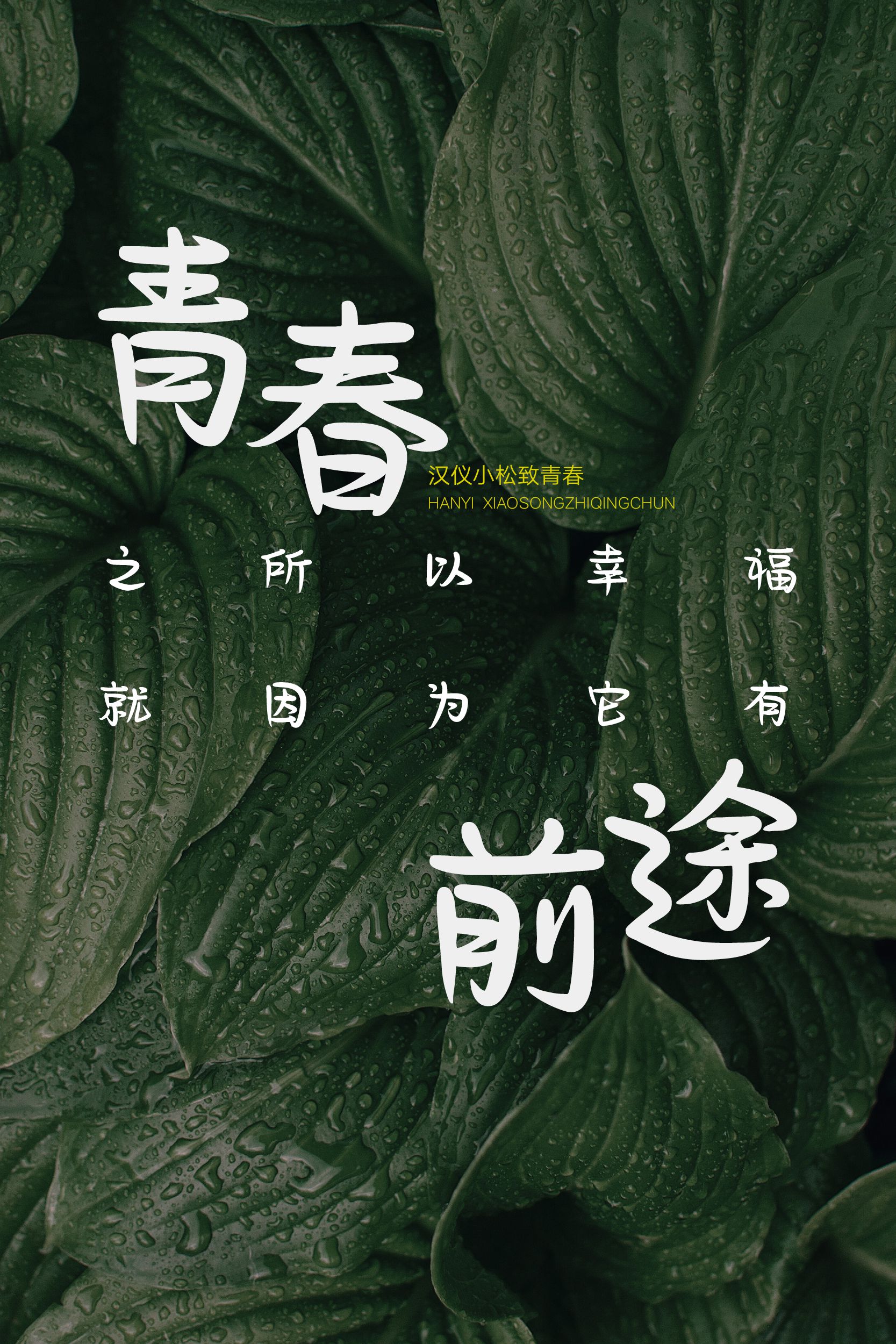 汉仪小松致青春-字体样张08.png