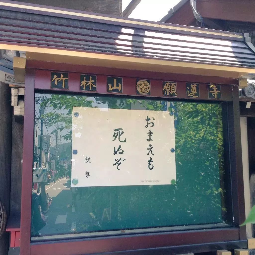 死之外皆是擦伤日本寺庙的标语太扎心
